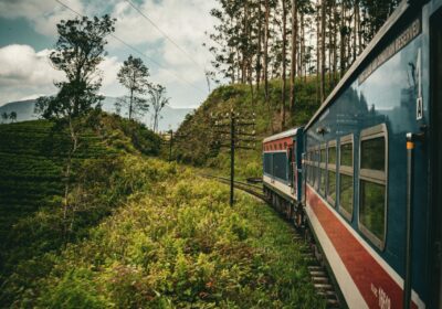 Sri Lanka Cultural& Nature Tour