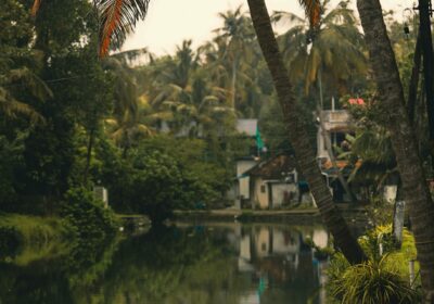 Kerala God’s Own Country Tour – 6 Nights / 7 Days