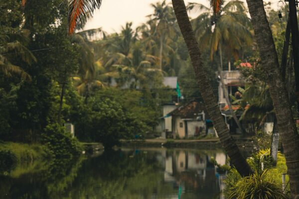 Karnataka & Kerala & Hill Stations