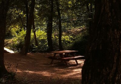 Southern Heritage & Sacred Sites Tour