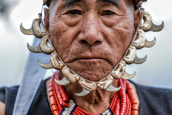 Tea, Tribes & the Hidden Northeast