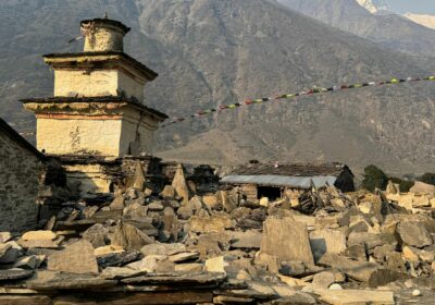 Kathmandu Valley Heritage Tour with Chitwan National Park