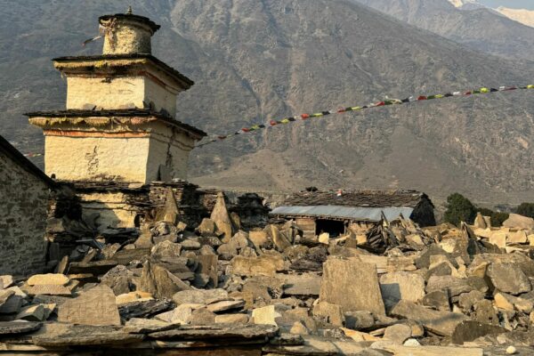 Kathmandu Valley Heritage Tour with Chitwan National Park