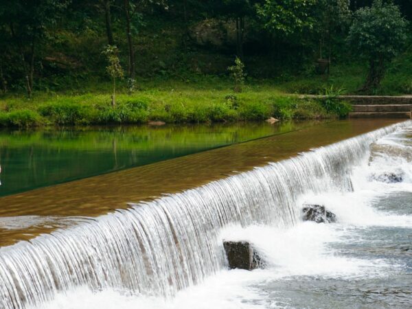 Living Root Bridges, Waterfalls & Cloudlands
