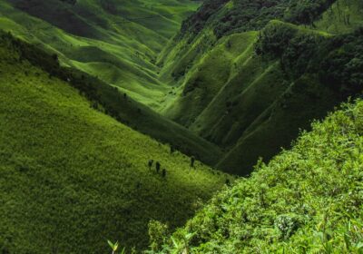 Warrior Tribes, Frontier Villages & Rhododendrons