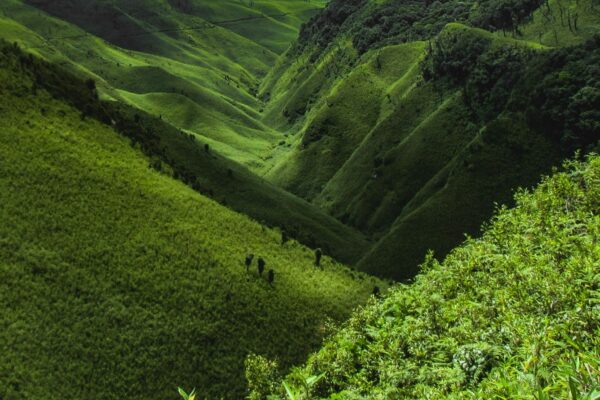Warrior Tribes, Frontier Villages & Rhododendrons