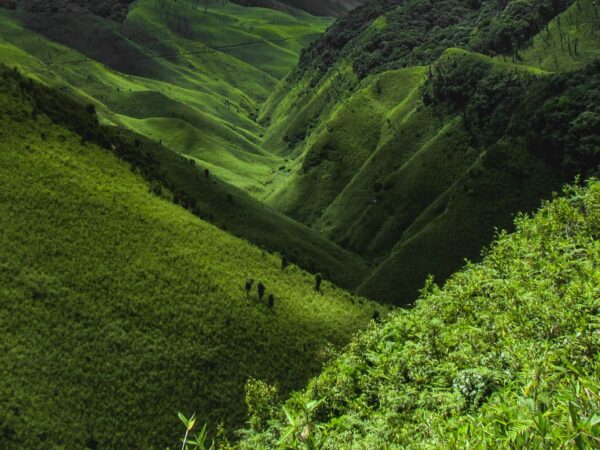 Warrior Tribes, Frontier Villages & Rhododendrons